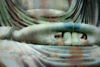 Buddha's Hands