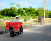 Bali [800651]
