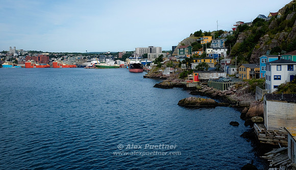 Newfoundland [IMG806993]