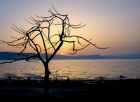 Israel and Palestine [803989]