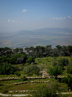 Israel and Palestine [804259]