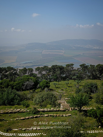 Israel and Palestine [804259]
