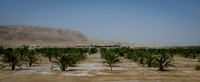 Israel and Palestine [804324]