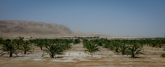 Israel and Palestine [804324]