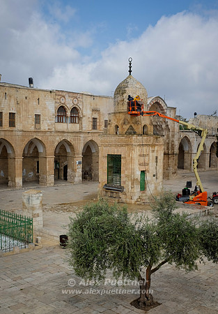 Israel and Palestine [804502]