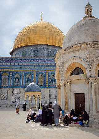 Israel and Palestine [804510]