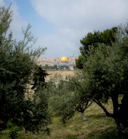 Israel and Palestine [804607]
