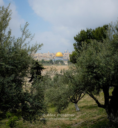 Israel and Palestine [804607]