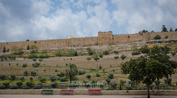 Israel and Palestine [804645]