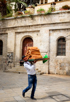 Israel and Palestine [804707]