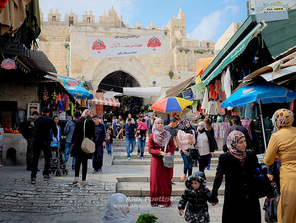 Israel and Palestine [804729]