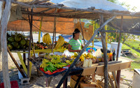Jamaica [803449]