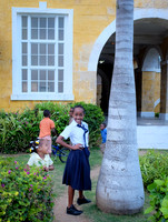Jamaica [803489]