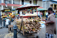 Jamaica [803512]