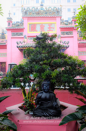 Vietnam [IMG807387]