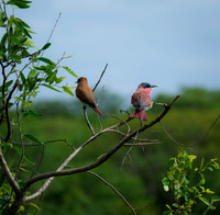 Southern Africa [IMG301005]