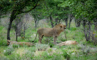 Southern Africa [IMG301263]