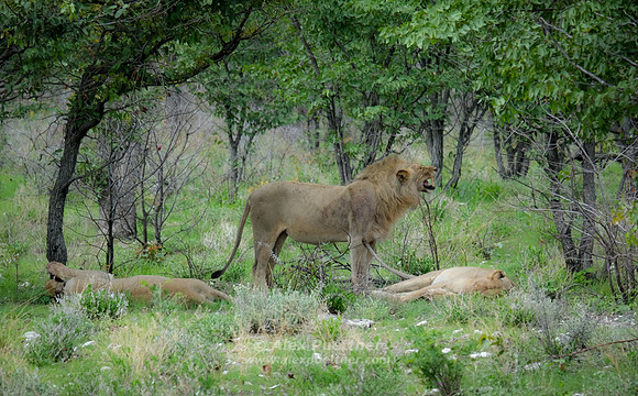 Southern Africa [IMG301263]