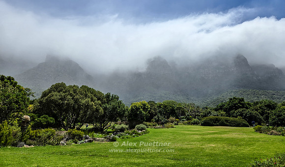 South Africa [20260106_125405]