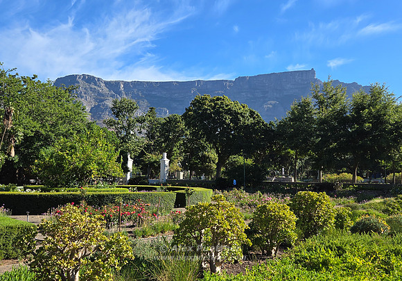 South Africa [20260105_171456]