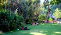 South Africa [IMG301747]