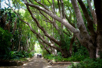 South Africa [IMG301784]