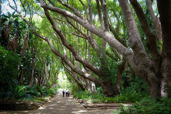 South Africa [IMG301784]