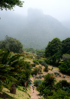 South Africa [IMG301795]