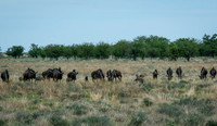 Namibia [IMG301230]