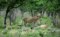 Namibia [IMG301263]