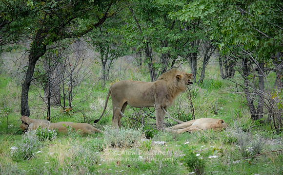 Namibia [IMG301263]