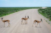 Namibia [IMG301314]