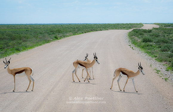 Namibia [IMG301314]