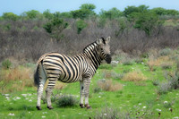 Namibia [IMG301327]