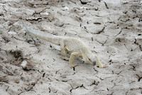Namibia [IMG301334]