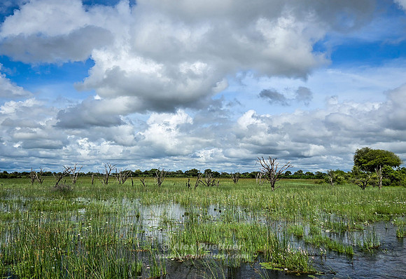 Botswana [20251225_094459]