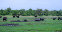 Botswana [IMG300875]