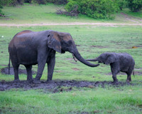 Botswana [IMG300878]