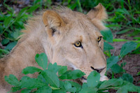 Botswana [IMG300944]