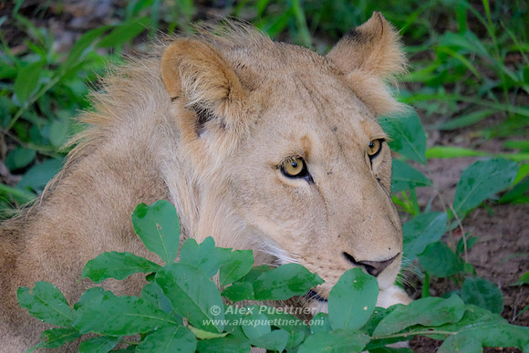 Botswana [IMG300944]