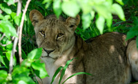 Botswana [IMG300971]