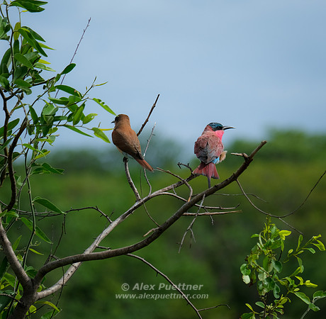 Botswana [IMG301005]