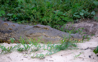 Victoria Falls [IMG300608]