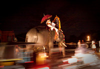 Festival Elephant
