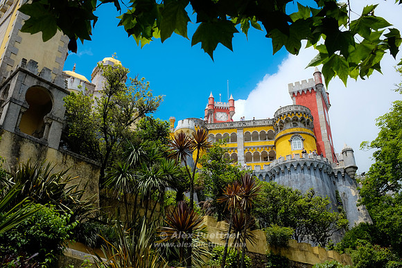 Portugal [803936]