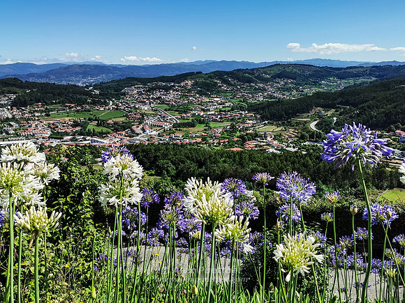 Portugal [80104724]
