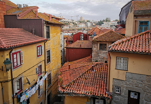 Portugal [80210810]