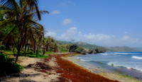 Barbados [805704]