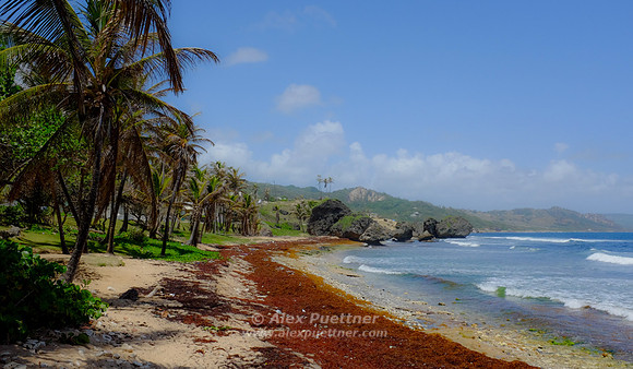 Barbados [805704]