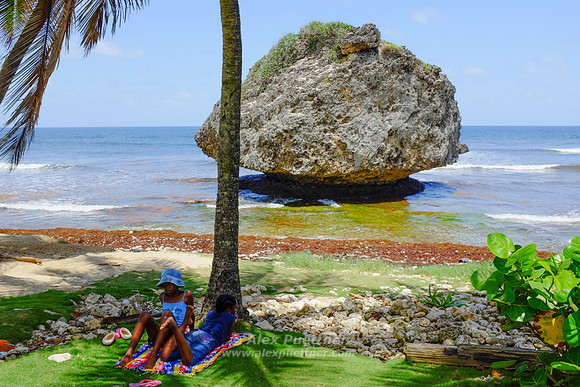 Barbados [805723]
